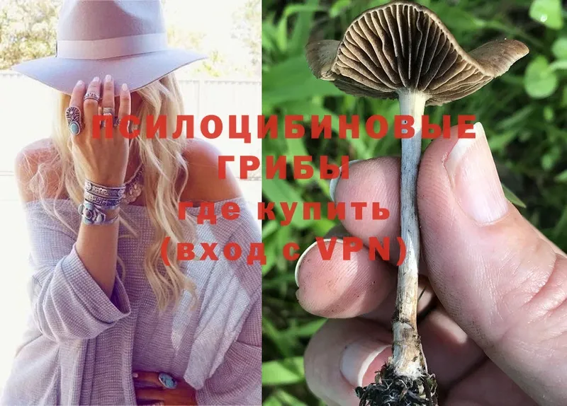 Псилоцибиновые грибы MAGIC MUSHROOMS  Нижнекамск 